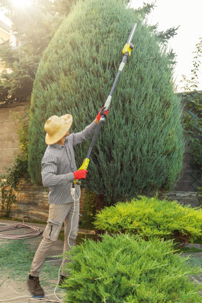 Best Tree Preservation Services  in Three Rivers, CA
